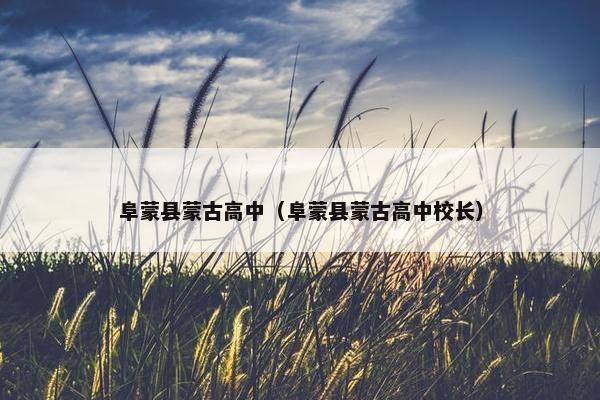阜蒙县蒙古高中（阜蒙县蒙古高中校长）