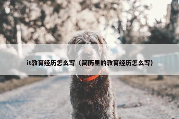 it教育经历怎么写（简历里的教育经历怎么写）