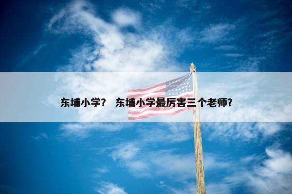 东埔小学？ 东埔小学最厉害三个老师？