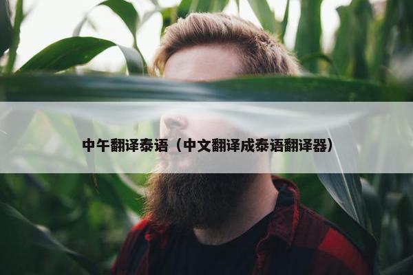 中午翻译泰语（中文翻译成泰语翻译器）