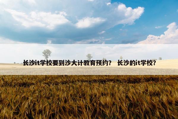 长沙it学校要到沙大计教育预约？ 长沙的it学校？