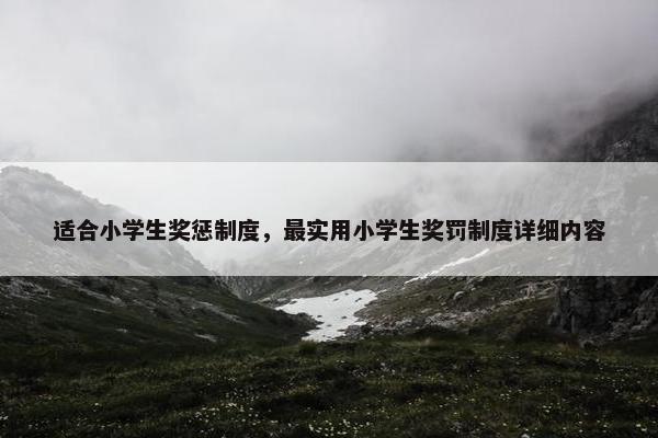 适合小学生奖惩制度，最实用小学生奖罚制度详细内容