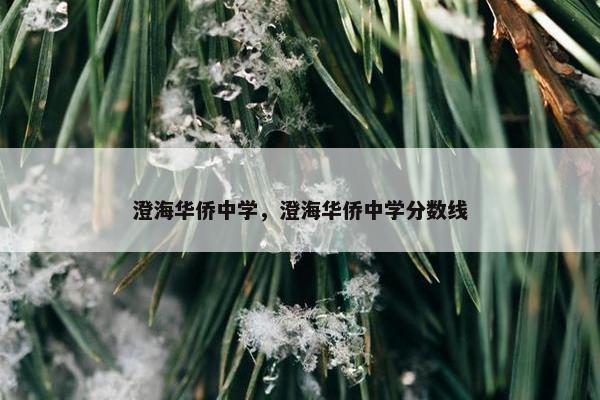 澄海华侨中学，澄海华侨中学分数线