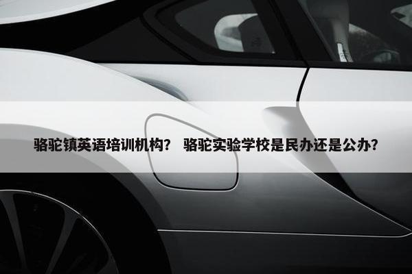 骆驼镇英语培训机构？ 骆驼实验学校是民办还是公办？