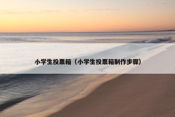 小学生投票箱（小学生投票箱制作步骤）