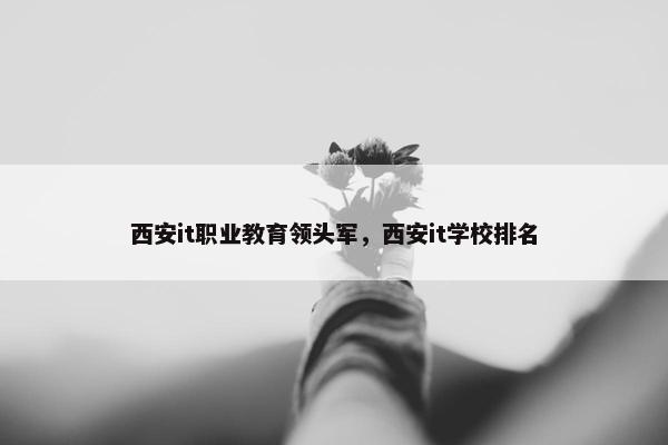 西安it职业教育领头军，西安it学校排名