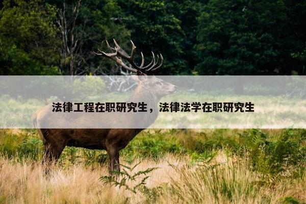 法律工程在职研究生，法律法学在职研究生