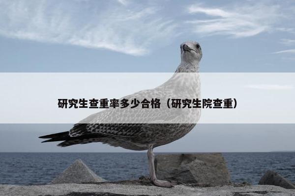 研究生查重率多少合格（研究生院查重）