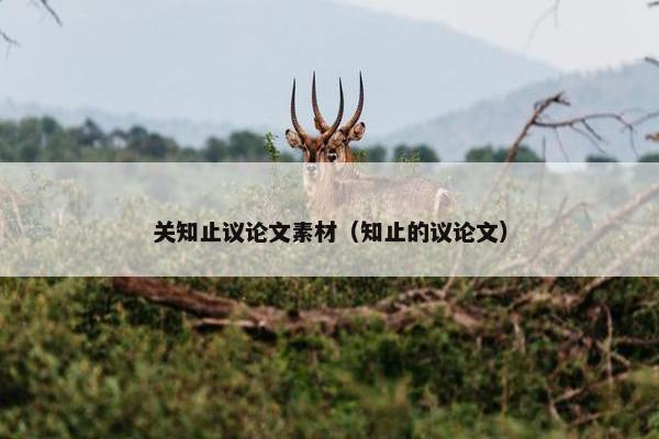关知止议论文素材（知止的议论文）