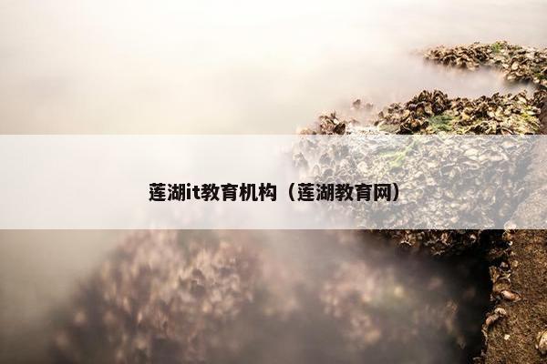 莲湖it教育机构（莲湖教育网）
