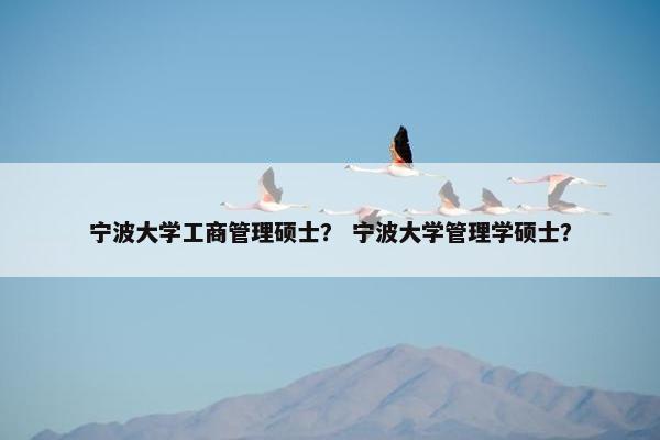 宁波大学工商管理硕士？ 宁波大学管理学硕士？