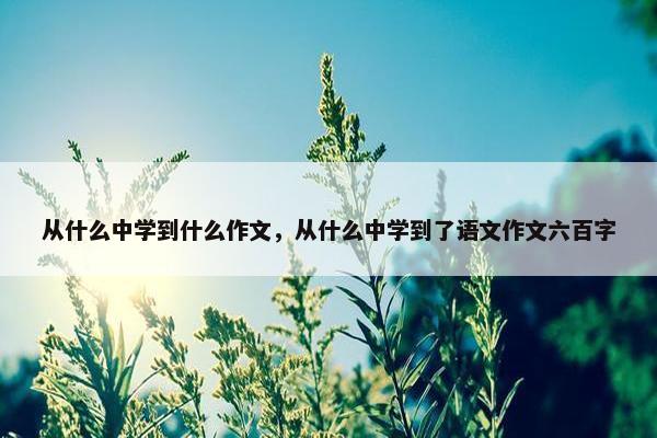 从什么中学到什么作文，从什么中学到了语文作文六百字