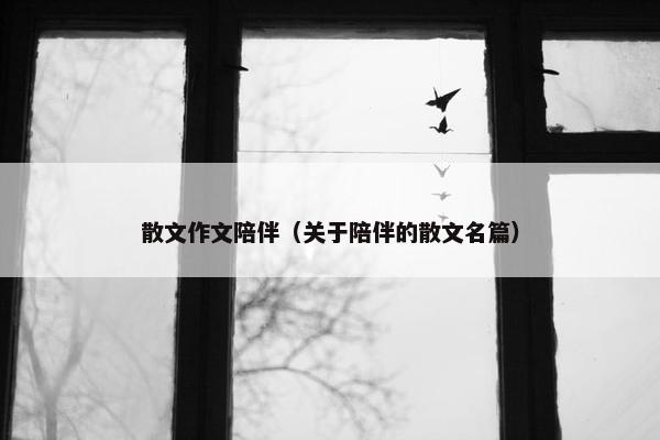 散文作文陪伴（关于陪伴的散文名篇）