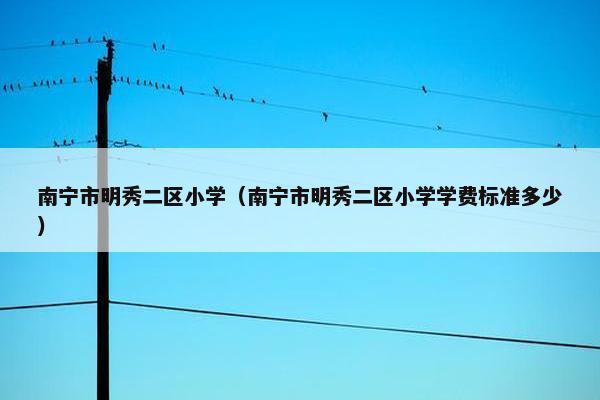 南宁市明秀二区小学（南宁市明秀二区小学学费标准多少）