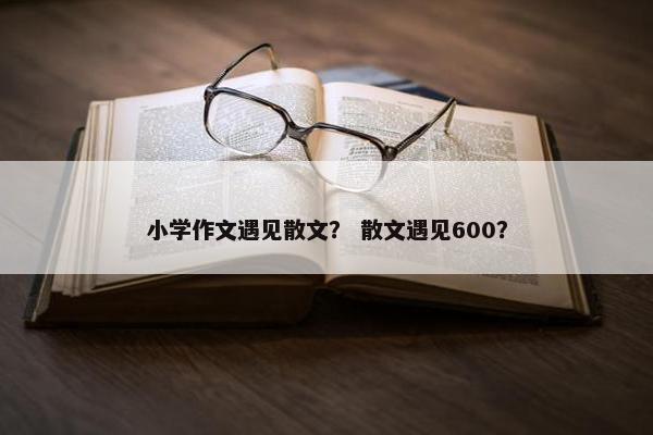 小学作文遇见散文？ 散文遇见600？