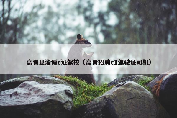 高青县淄博c证驾校（高青招聘c1驾驶证司机）