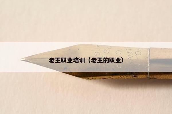 老王职业培训（老王的职业）