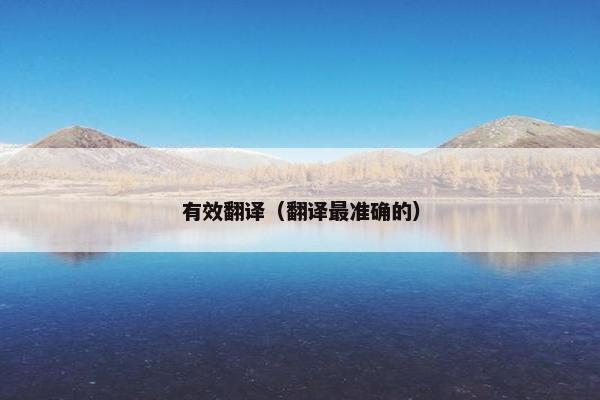 有效翻译（翻译最准确的）