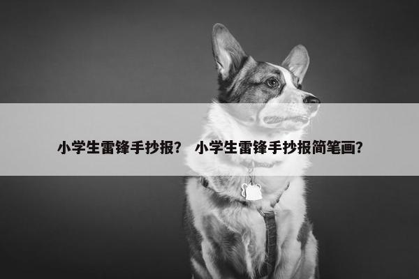 小学生雷锋手抄报？ 小学生雷锋手抄报简笔画？