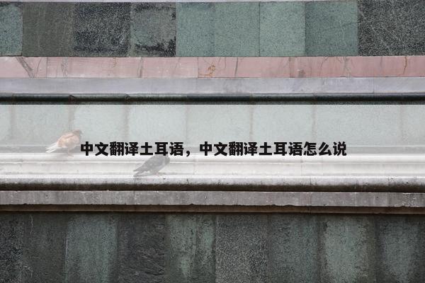 中文翻译土耳语，中文翻译土耳语怎么说