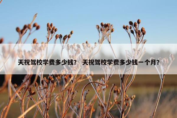 天祝驾校学费多少钱？ 天祝驾校学费多少钱一个月？