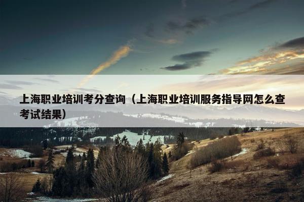 上海职业培训考分查询（上海职业培训服务指导网怎么查考试结果）