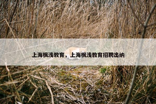 上海枫浅教育，上海枫浅教育招聘出纳