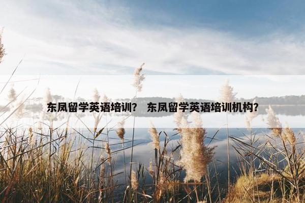 东凤留学英语培训？ 东凤留学英语培训机构？