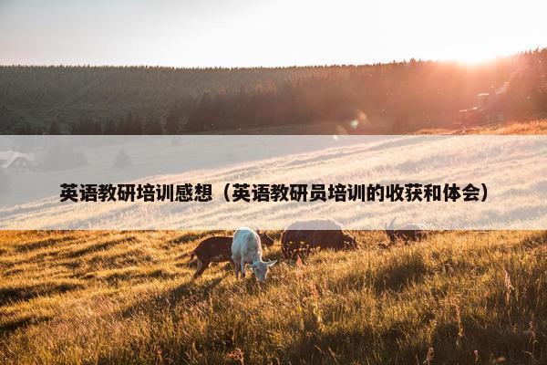 英语教研培训感想（英语教研员培训的收获和体会）