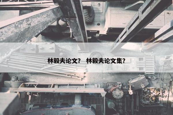 林毅夫论文？ 林毅夫论文集？