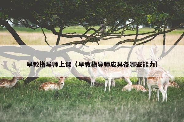 早教指导师上课（早教指导师应具备哪些能力）