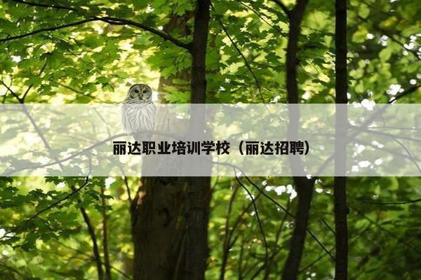丽达职业培训学校（丽达招聘）