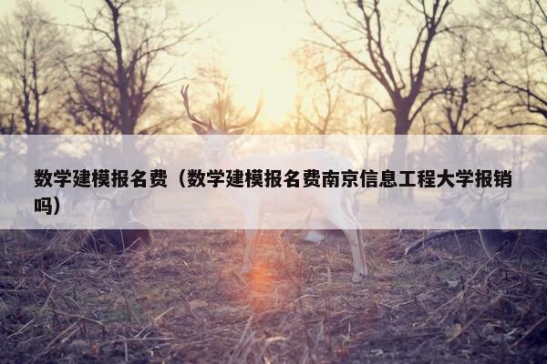 数学建模报名费（数学建模报名费南京信息工程大学报销吗）