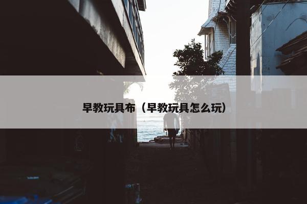 早教玩具布（早教玩具怎么玩）