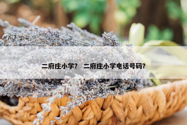 二府庄小学？ 二府庄小学电话号码？