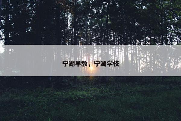 宁湖早教，宁湖学校