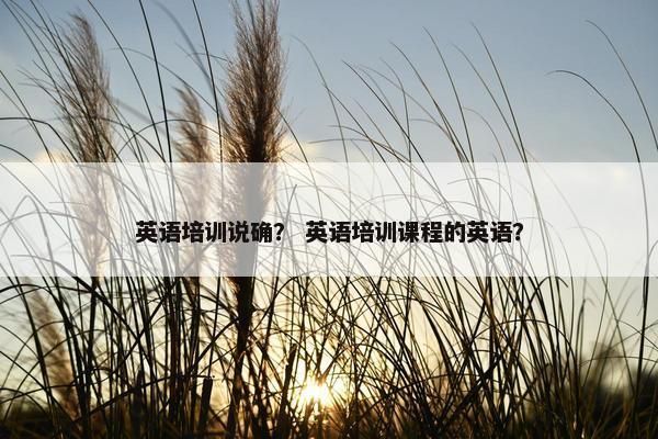 英语培训说确？ 英语培训课程的英语？