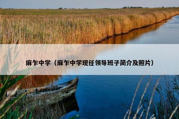 麻乍中学（麻乍中学现任领导班子简介及照片）