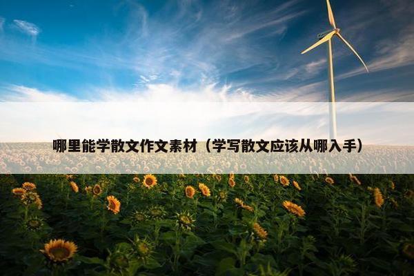 哪里能学散文作文素材（学写散文应该从哪入手）