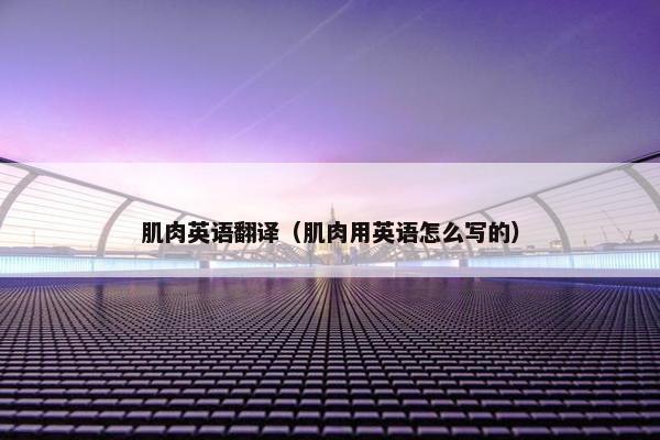 肌肉英语翻译（肌肉用英语怎么写的）