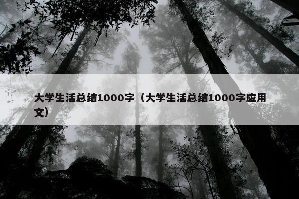 大学生活总结1000字（大学生活总结1000字应用文）