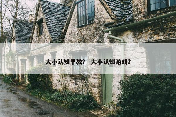 大小认知早教？ 大小认知游戏？