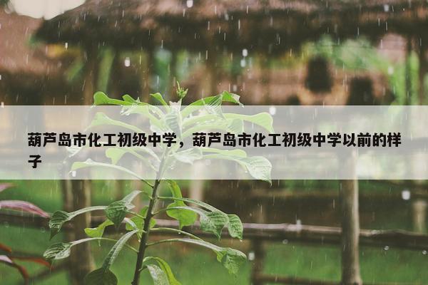 葫芦岛市化工初级中学，葫芦岛市化工初级中学以前的样子