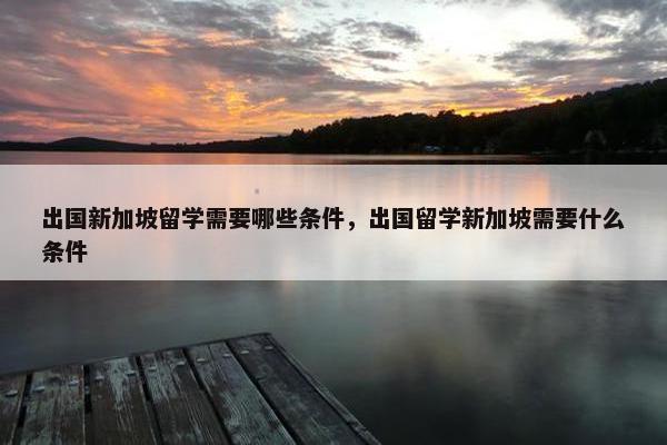 出国新加坡留学需要哪些条件，出国留学新加坡需要什么条件