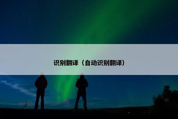 识别翻译（自动识别翻译）