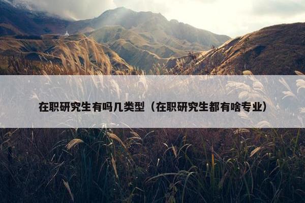 在职研究生有吗几类型（在职研究生都有啥专业）