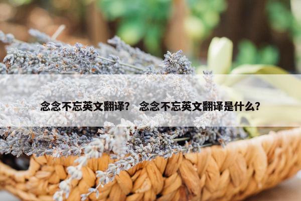 念念不忘英文翻译？ 念念不忘英文翻译是什么？