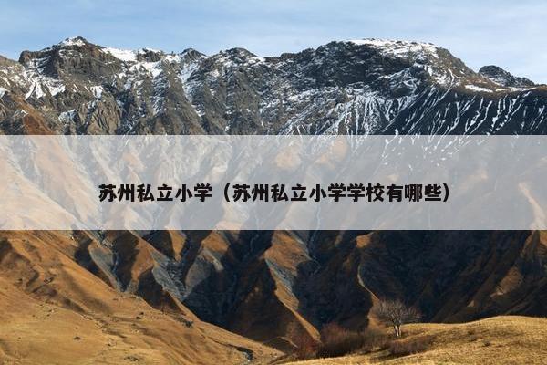 苏州私立小学（苏州私立小学学校有哪些）