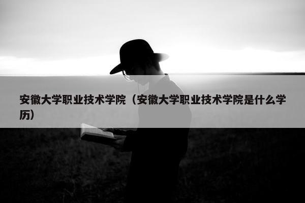 安徽大学职业技术学院（安徽大学职业技术学院是什么学历）