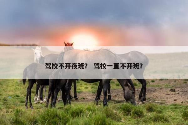 驾校不开夜班？ 驾校一直不开班？